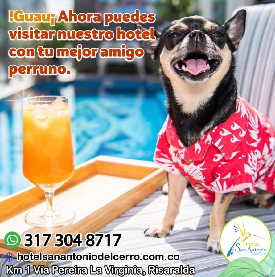 Hotel San Antonio Del Cerro Cerritos Dış mekan fotoğraf